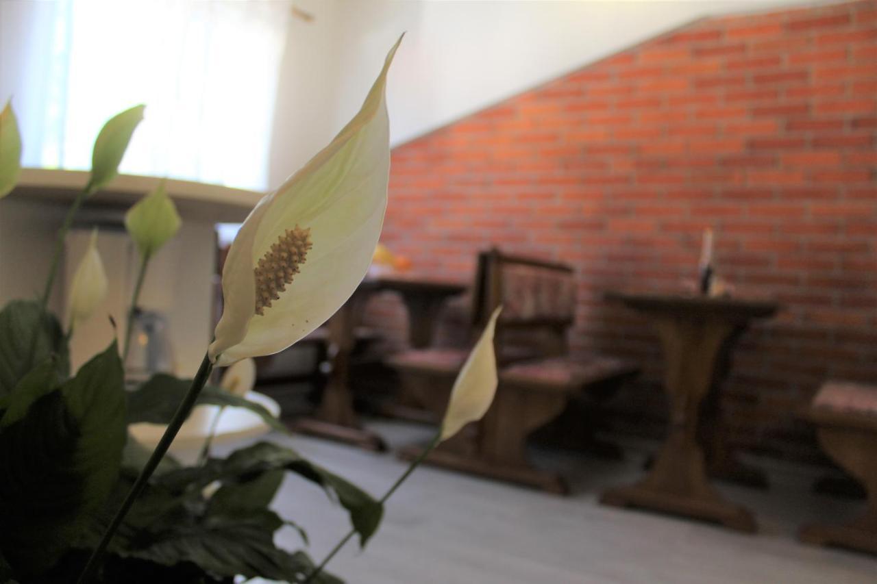 Apartment Benten Drvenik  Luaran gambar